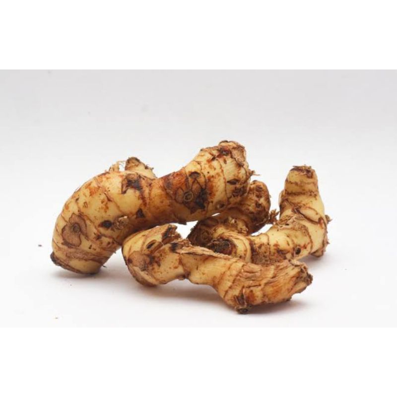 

lengkuas laos 500 gr