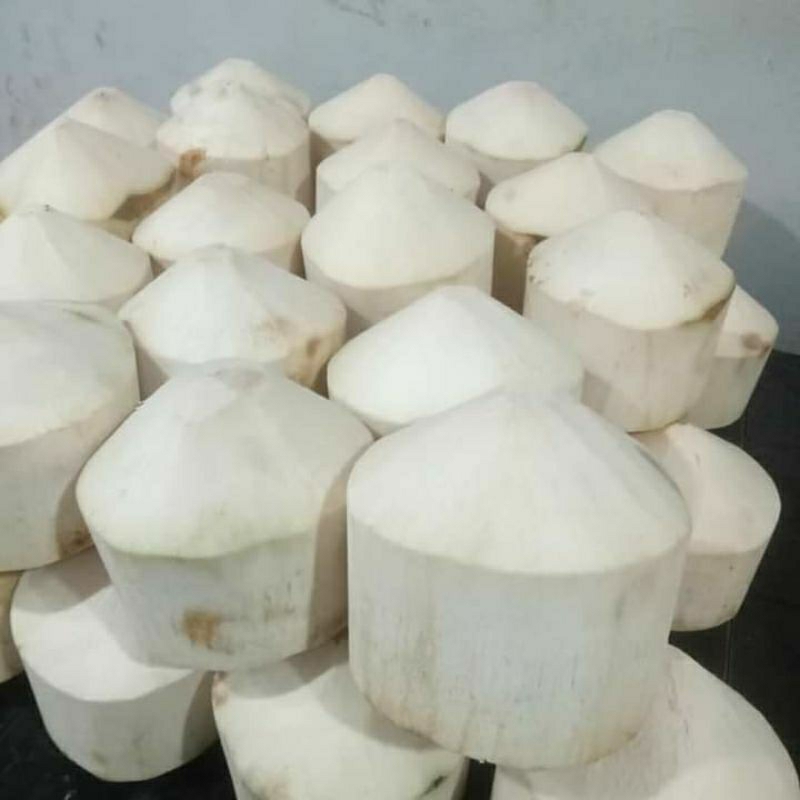 

KELAPA MUDA PAPAS DIAMOND kelapa jelly diamond