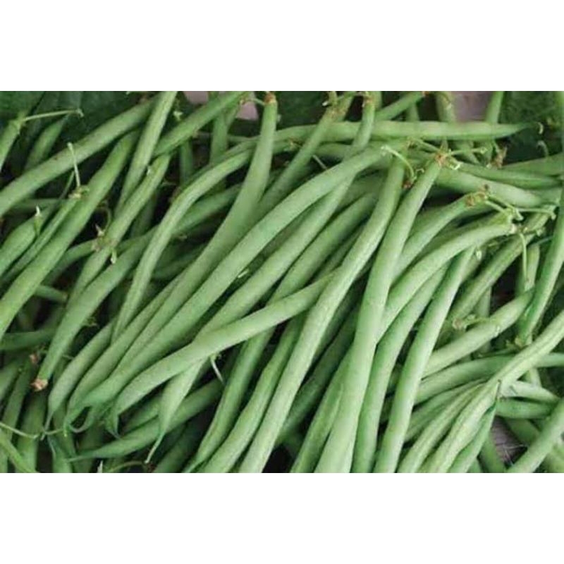 

buncis segar 500 gram