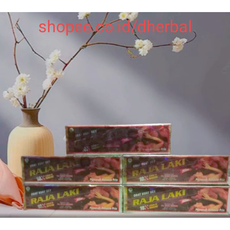 KAPSUL STAMINA RAJA LAKI 10X