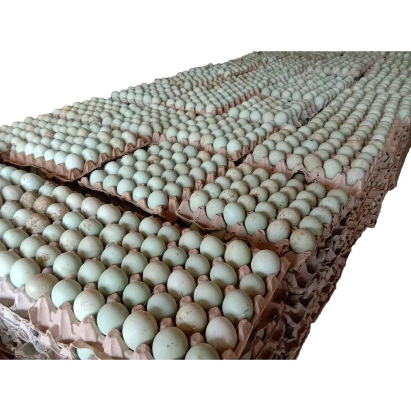 

TELUR BEBEK MENTAH - PER 1 PCS