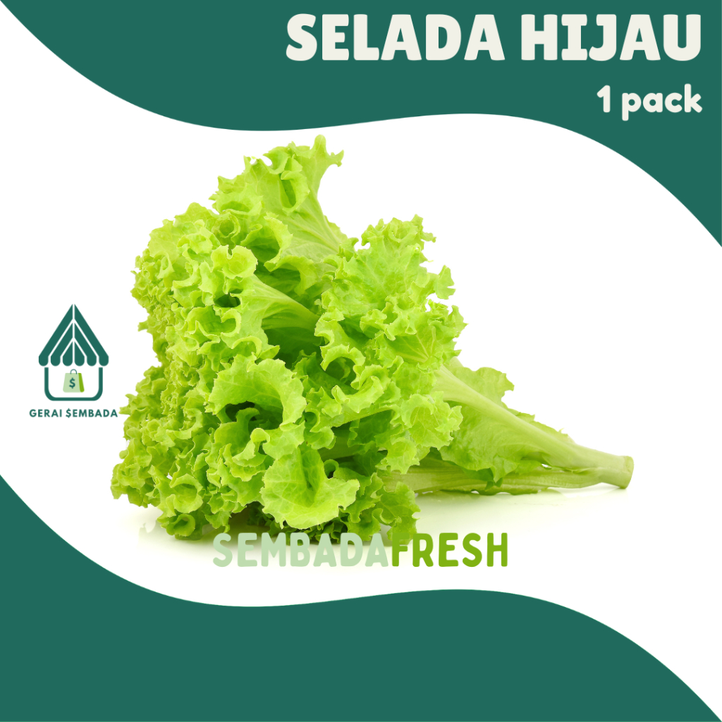 

Selada Hijau 1 Pack - SEMBADA FRESH [Pengiriman Instant]