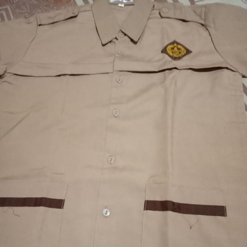 baju pramuka siaga coklat susu perempuan