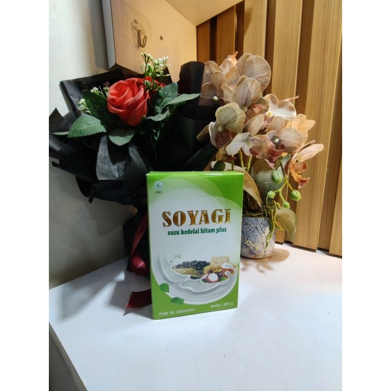 

SOYAGI Kedelai Plus Herbal Susu Diet