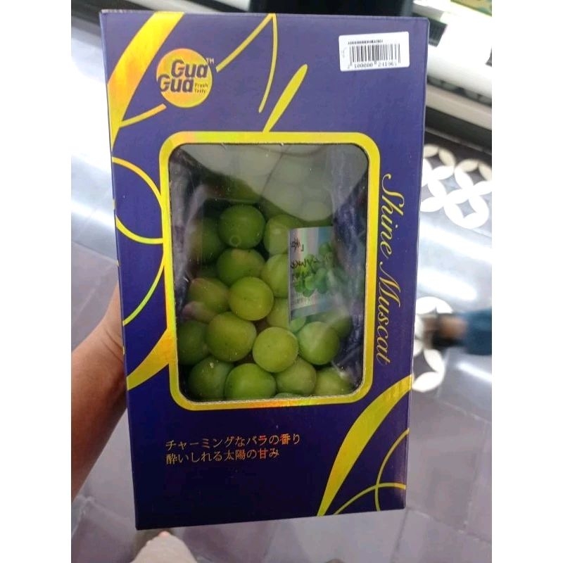 

BUAH ANGGUR SHINE MUSCAT GUA GUA IMPORT SUPER PREMIUM GIFT BOX