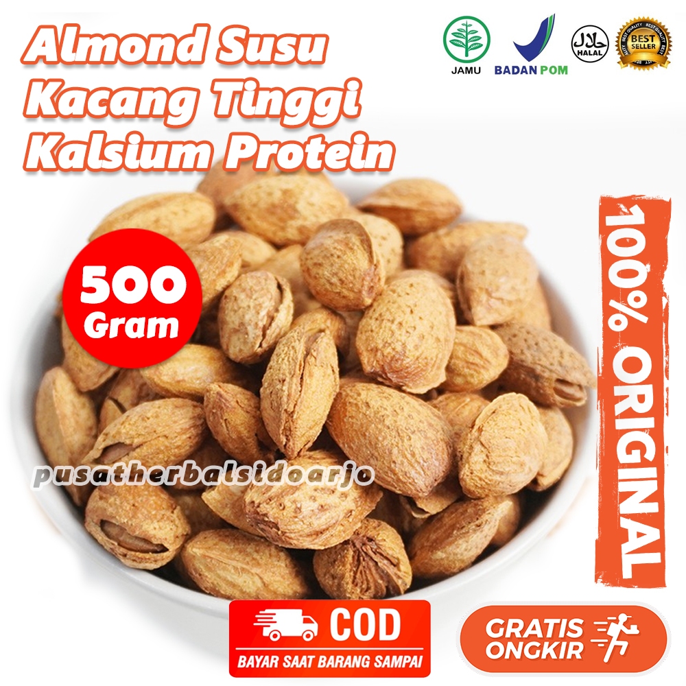 

Kacang Almond Panggang 500gr Susu Roasted Almond Mlik Premium Almond Kupas Almond Kulit Almond Cangkang