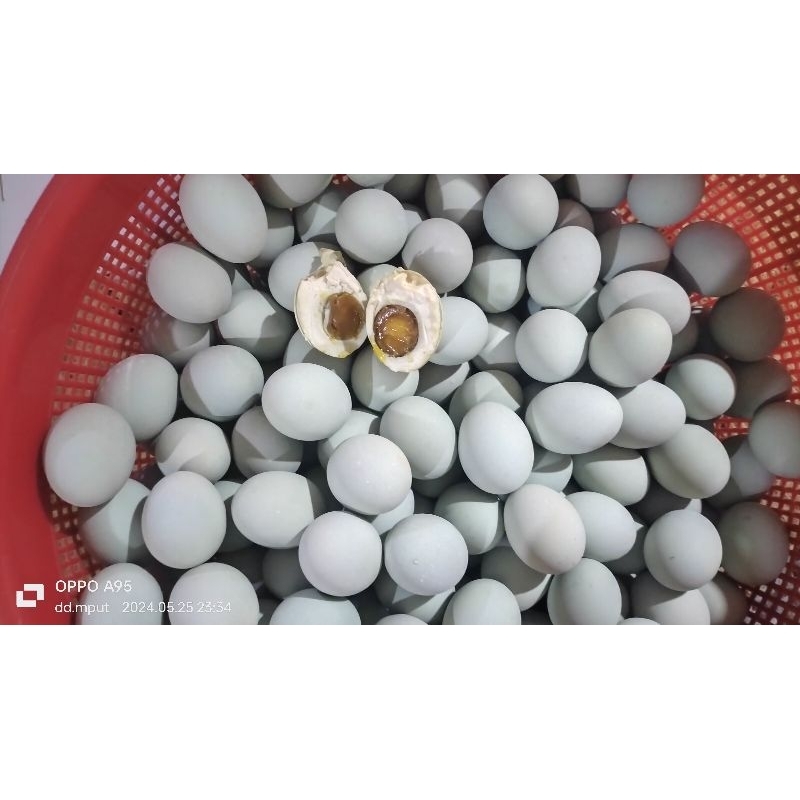 

ndog asin premium gurih Masir enak