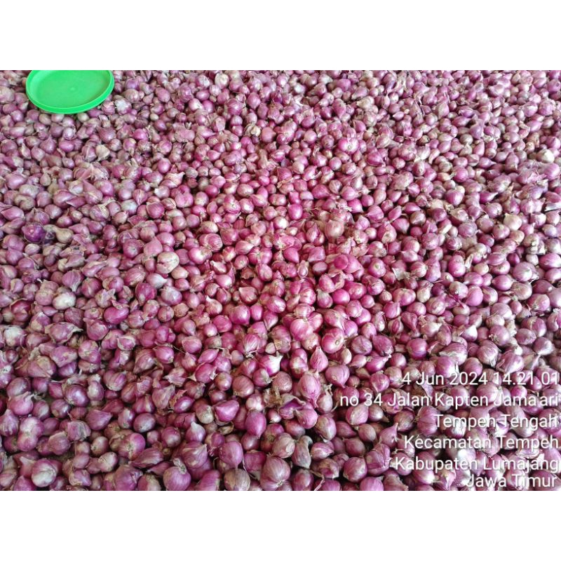 

BAWANG MERAH KWALITAS SUPER KEMASAN 1 KILO ASLI PROBOLINGGO