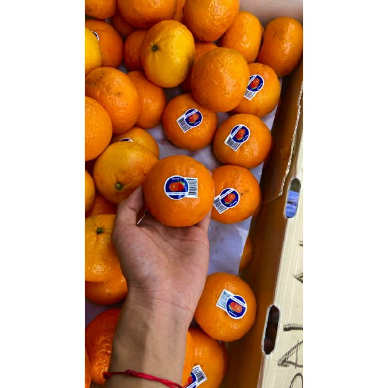 

jeruk Wogan premium 1 kg