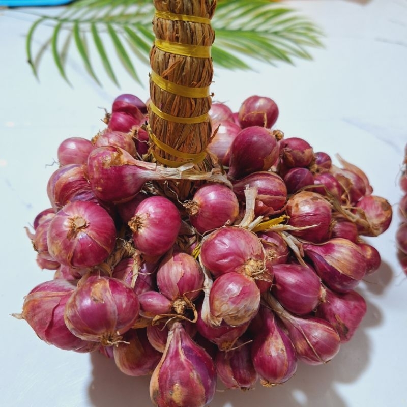 

Bawang Merah Probolinggo Super 1 kg