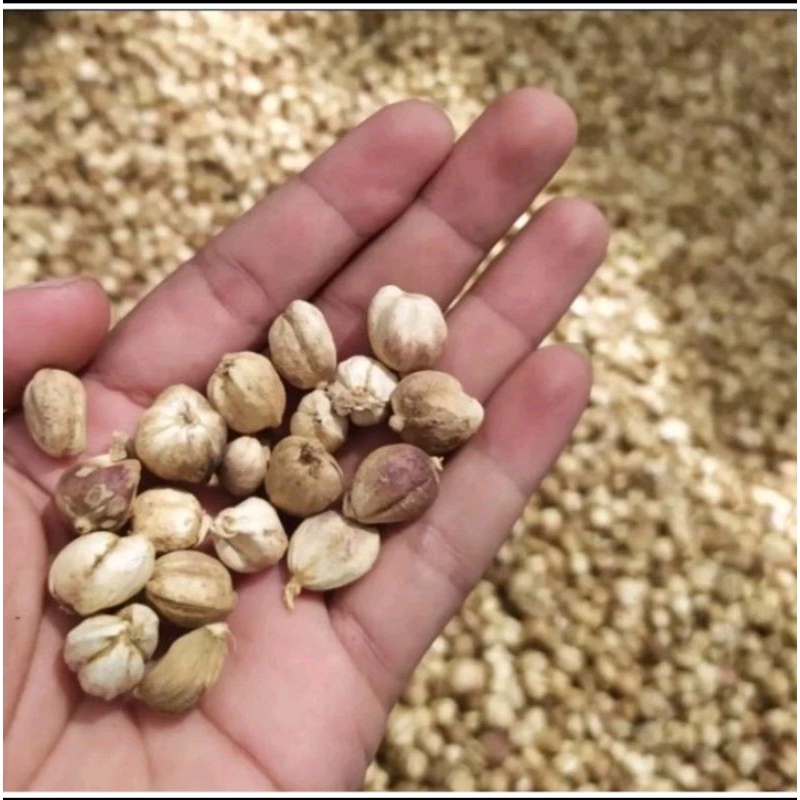 

kapulaga 1kg ukuran kecil2 bagus murah tdk kopong