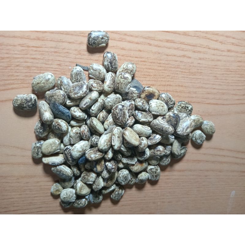 

Kacang Koro Benguk 500gr