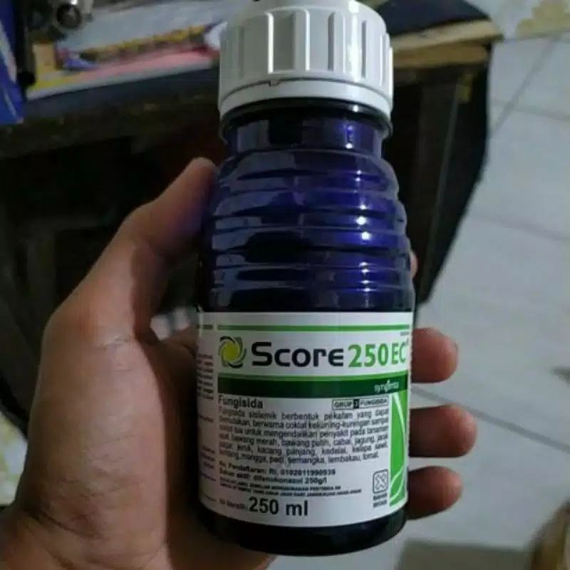 Score 250 EC Fungisida