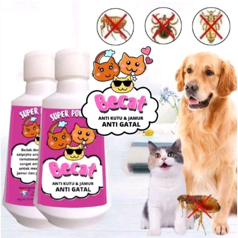 Bedak anti kutu jamur gatal gatal kucing anjing kelinci