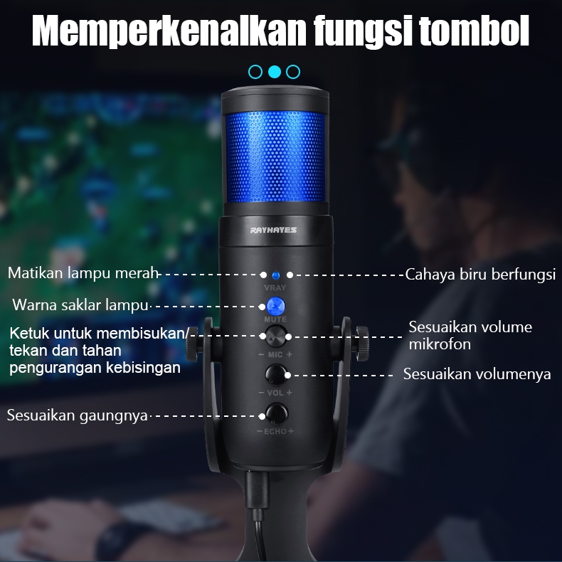RAYHAYES RGB Mikrofon USB Kondensor Mikrofon Gaming Mikrofon Streaming Mini Portabel Ultra-kompak