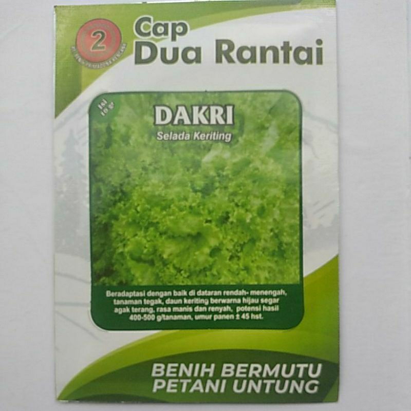 Benih Selada Keriting Dakri 10Gram Bibit Selada