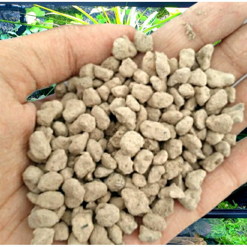 pumice kecil batu apung media filter aquarium penjernih air media tanam substrat terrarium skulen