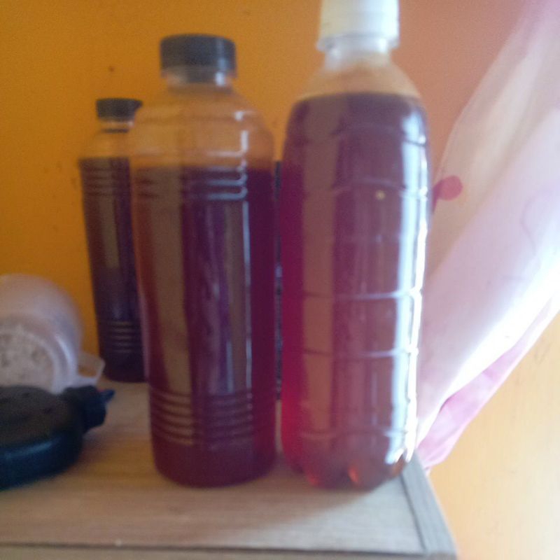 

madu hutan liar dorsata 1Kg