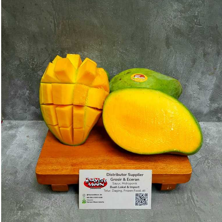 

HarvestMoon Mangga Alpukat Harum Manis Avomango Klonal Per Dus