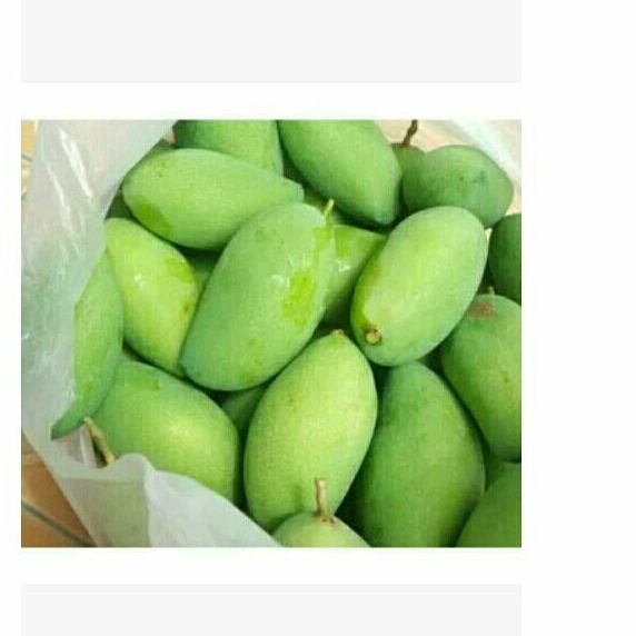 

MANGGA MUDA KAMPUNG 500g