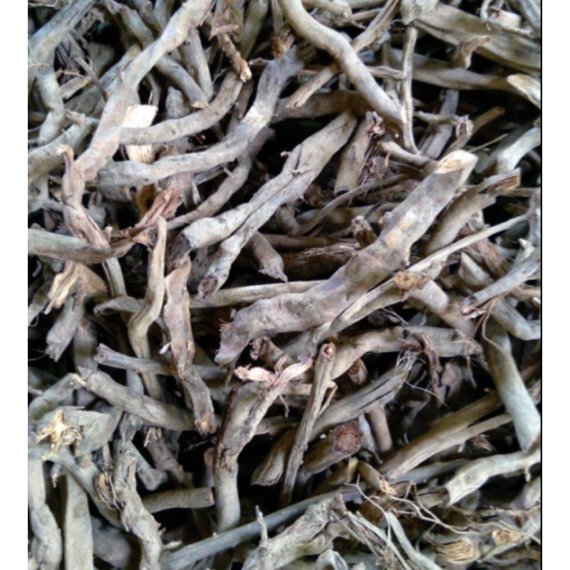 

Akar aren kering / akar pohon aren kering 250 gram-az