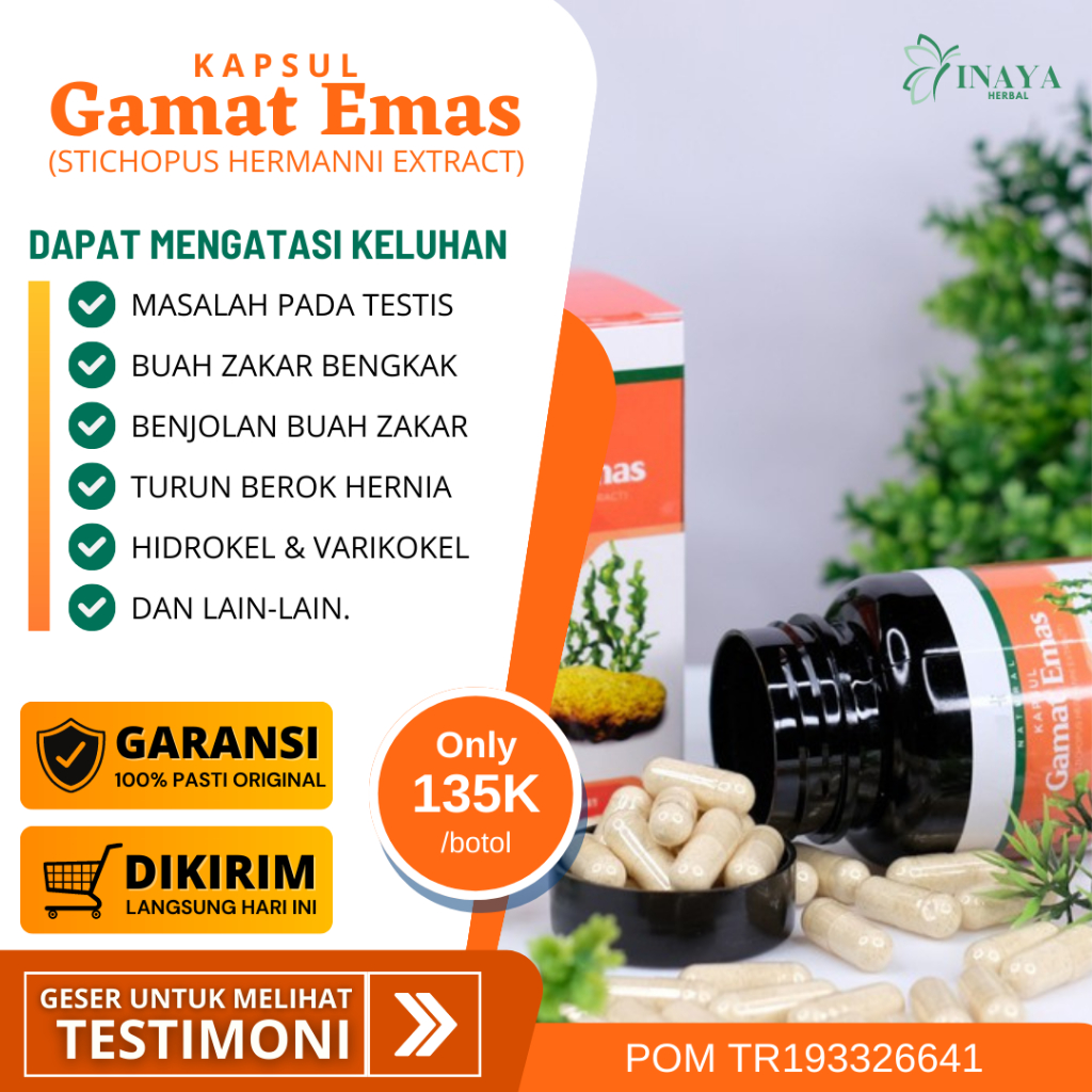 Obat Hernia Obat Turun Berok Tradisional Turun Berok Dewasa Varikokel - Testis Bengkak - Buah Zakar 