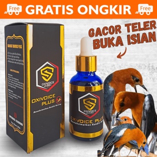 OXIVOICE OXYVOICE OXIVOICE PLUS ORIGINAL VITAMIN OBAT BURUNG ANIS MERAH GACOR TELER VITAMIN DOPING C