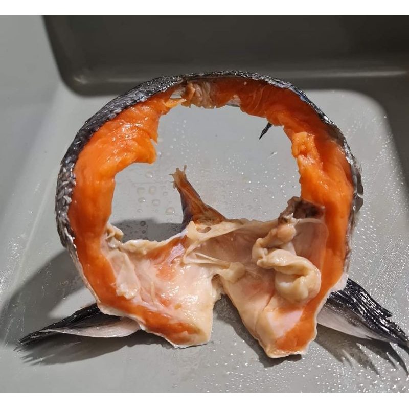 

Leher / Rahang Salmon