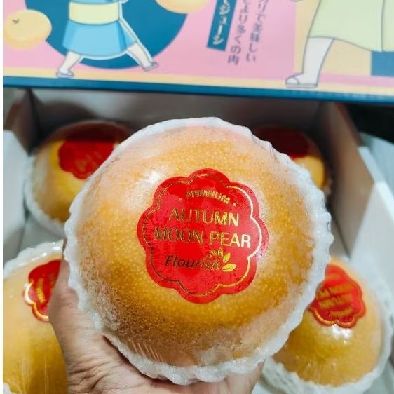 

Pir Autum Moon / Pir Premium