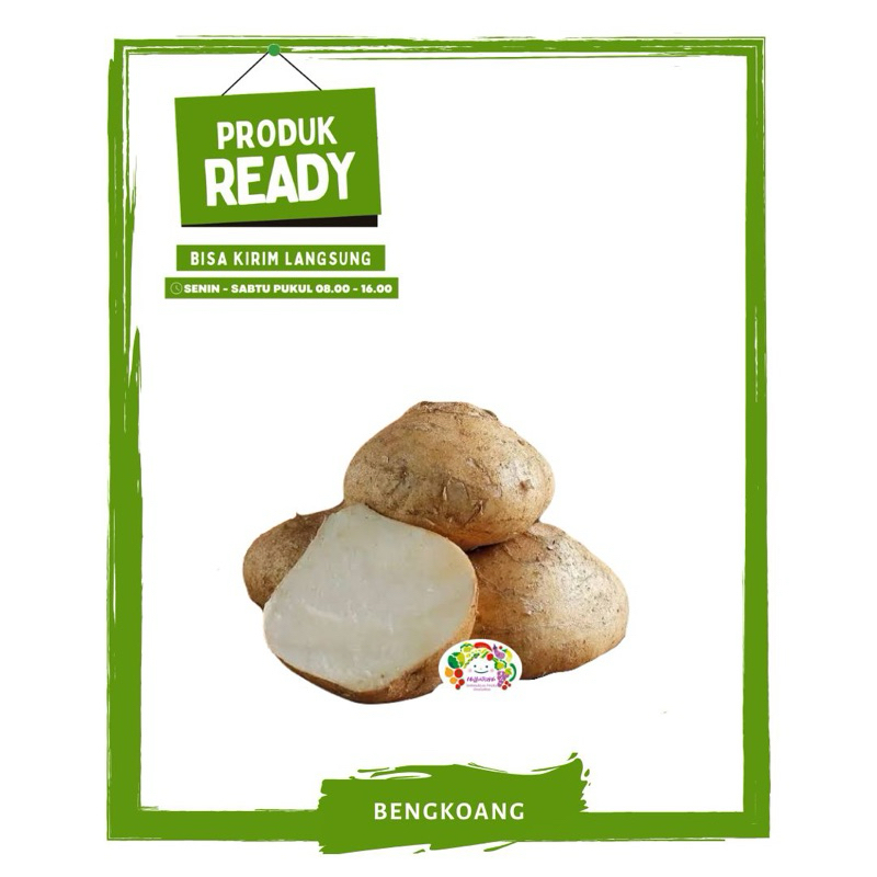 

Bengkoang / Bengkuang / Buah Buahan Segar Ready On Mallahrizwa