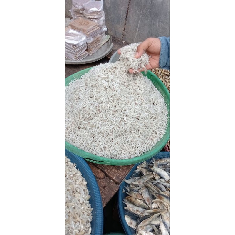 

Teri Nasi Medan 500 gram cocok untuk MPASI