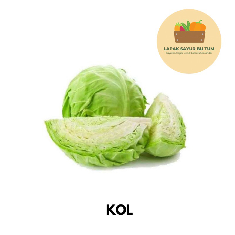 

Sayuran Segar - Kol Putih 500gr - Lapak Sayur Bu Tum