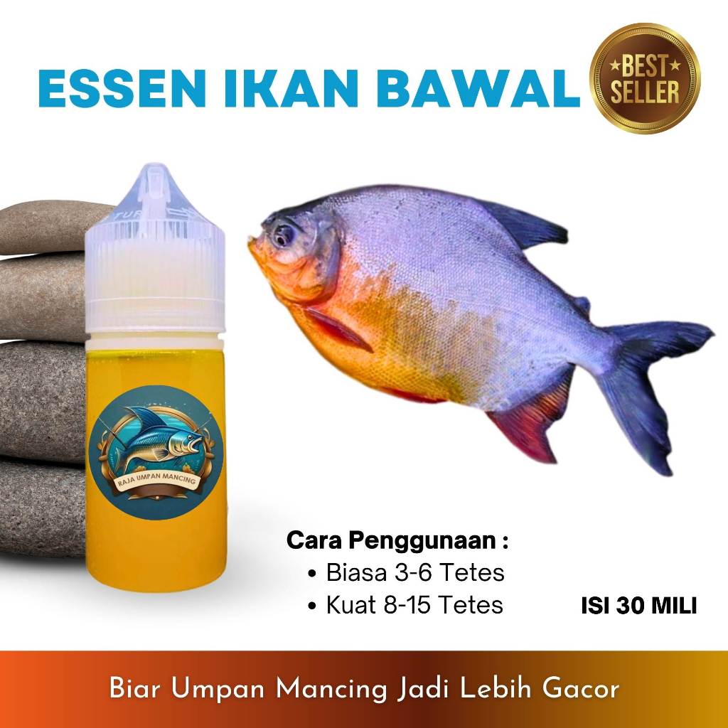 Essen Ikan Bawal Galatama Dan Harian Target Babon | Raja Umpan Mancing