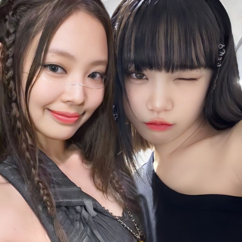 

Meowstar Collection Book