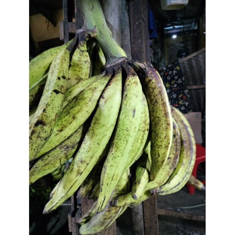 

RB Pisang tanduk isi 3 buah