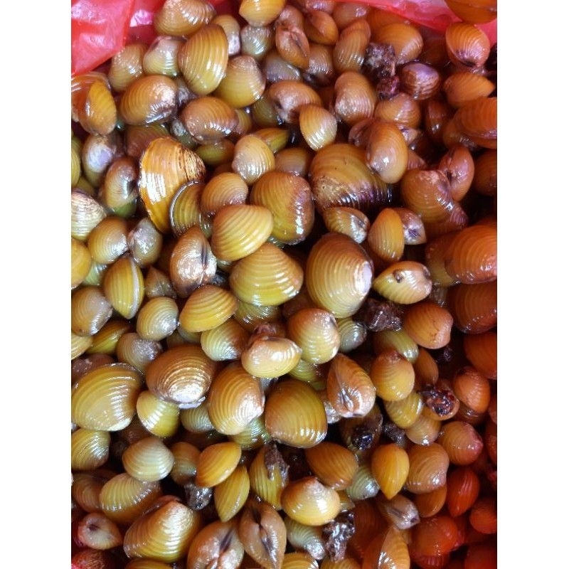 

Remis hidup 1kg untuk kesehatan