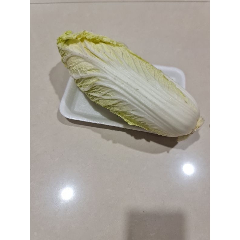 

sawi putih