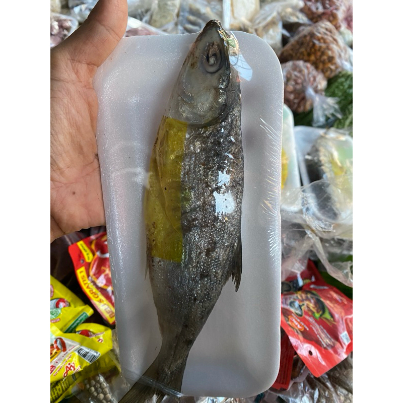 

pindang bandeng isi 1