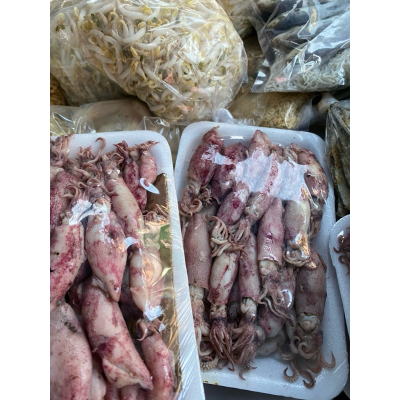 

asin Cumi / cumi asin