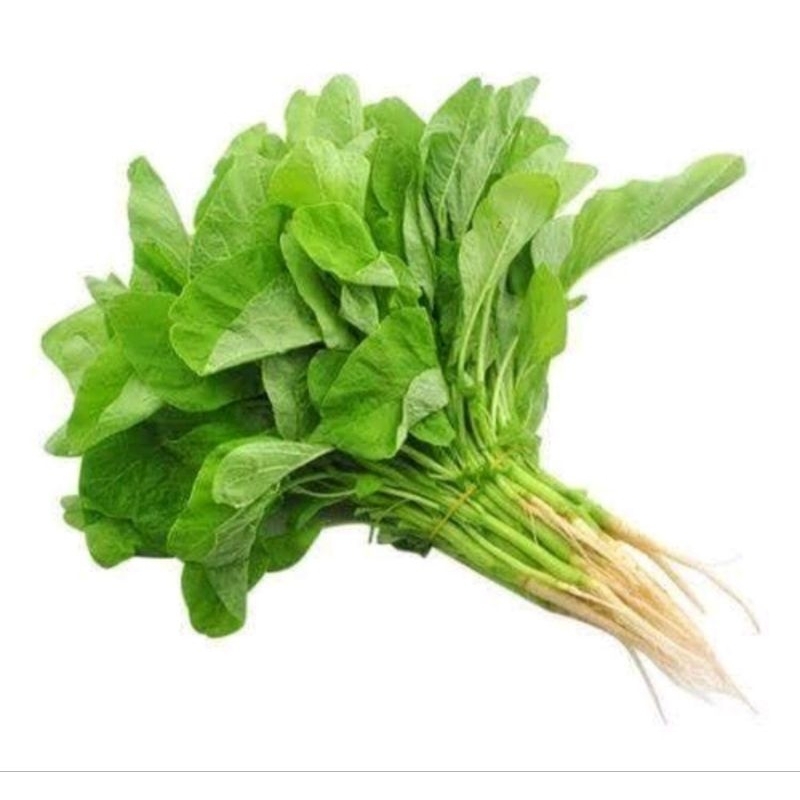 

SAYUR BAYAM ORGANIK PER IKAT / SPINACH / JAMIN SEGAR