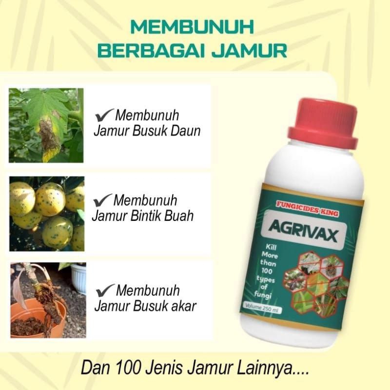 AGRIVAX FUNGICIDES KING  PEMBASMI JAMUR DAN HAMA
