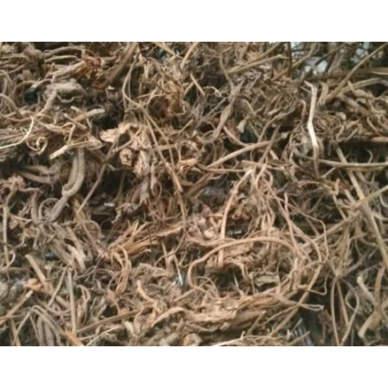

Akar bandotan KERING paket 250 gram-az