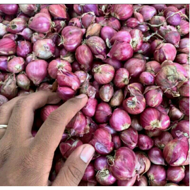 

Bawang merah 1 kg