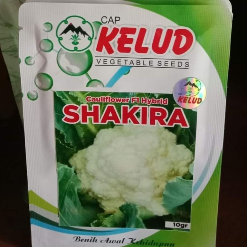 BENIH BUNGA KOL / BUNGKUL / CAULY FLOWER SHAKIRA ) kemasan 10 gram isi 2000 biji.ORIGINAL