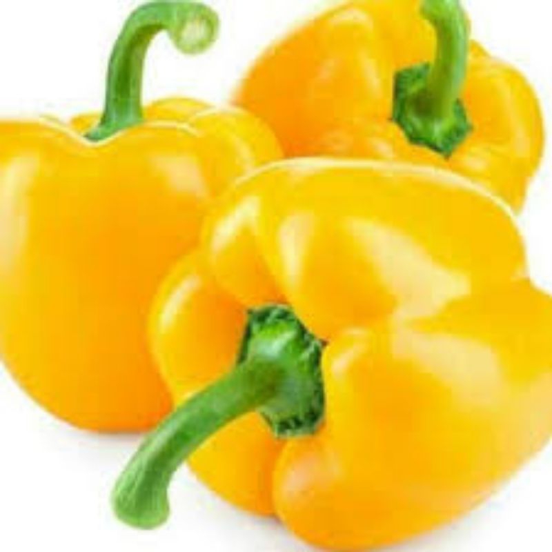 

paprika kuning/500gram