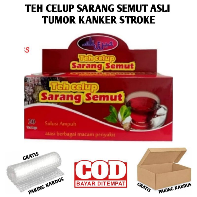 

TEH CELUP SARANG SEMUT UNTUK TUMOR KANKER STROKE