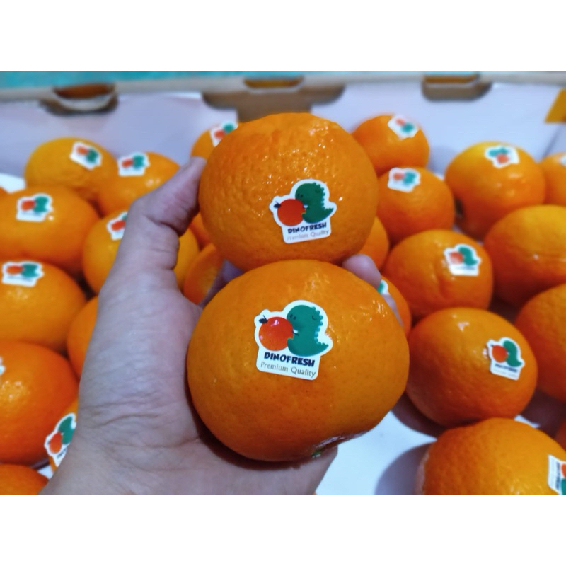 

PROMO Jeruk Wogan Mandarin Dino Fresh