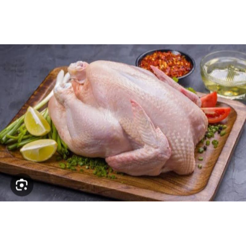 

Ayam Broiler Karkas