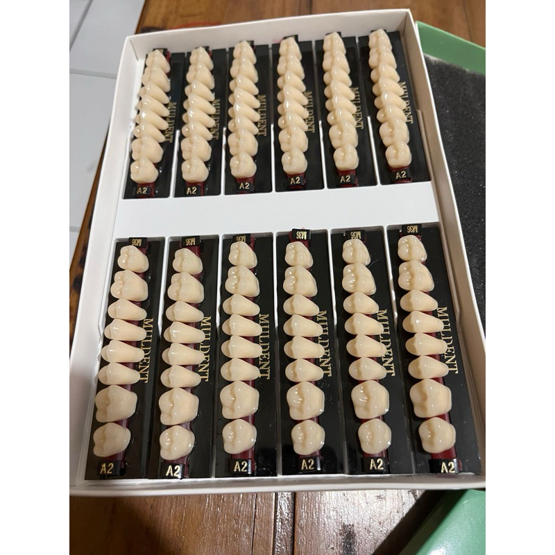 GIGI MULDENT GERAHAM 1 BOX ISI 12 PAPAN