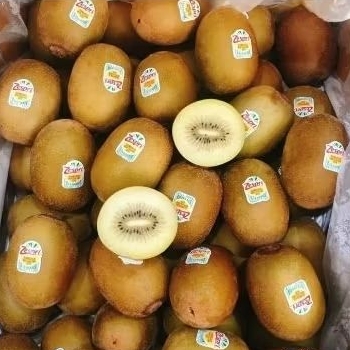 

Kiwi Gold Zespri